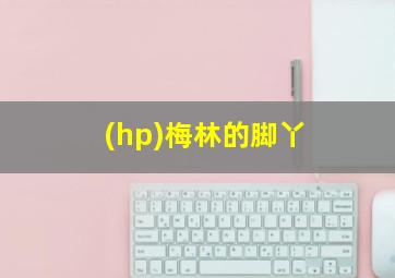 (hp)梅林的脚丫