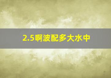 2.5啊波配多大水中