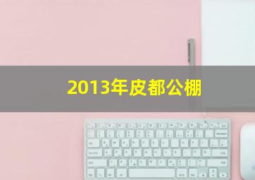 2013年皮都公棚