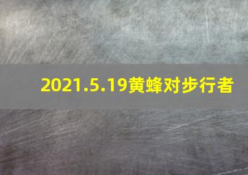 2021.5.19黄蜂对步行者