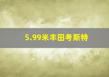 5.99米丰田考斯特