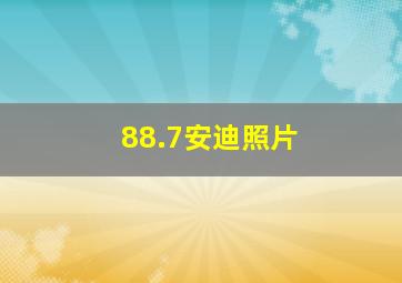 88.7安迪照片