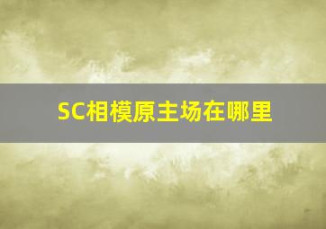 SC相模原主场在哪里