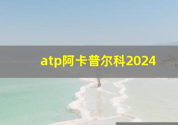 atp阿卡普尔科2024