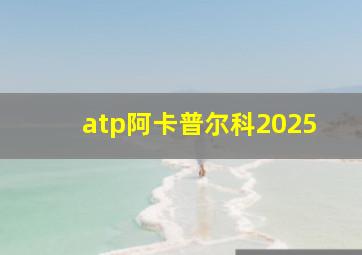 atp阿卡普尔科2025