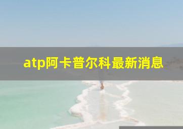 atp阿卡普尔科最新消息