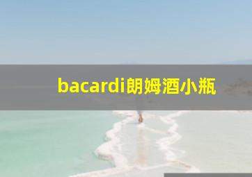 bacardi朗姆酒小瓶