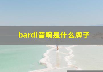 bardi音响是什么牌子