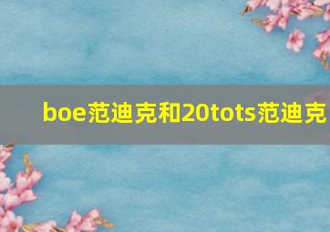 boe范迪克和20tots范迪克