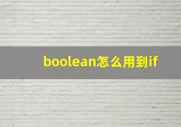 boolean怎么用到if