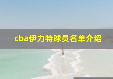 cba伊力特球员名单介绍