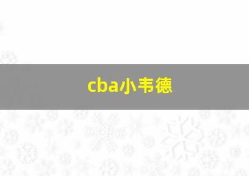 cba小韦德