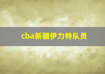 cba新疆伊力特队员