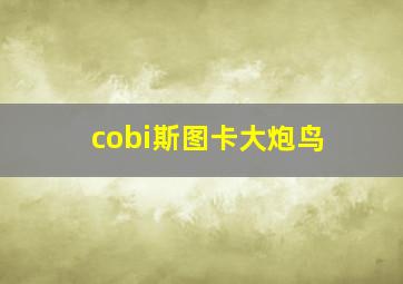 cobi斯图卡大炮鸟