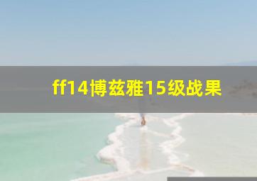 ff14博兹雅15级战果