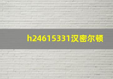 h24615331汉密尔顿