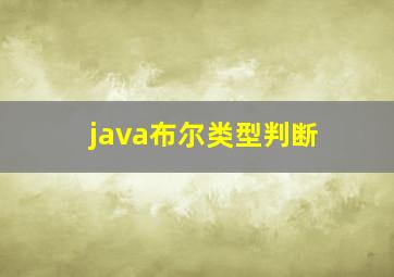 java布尔类型判断