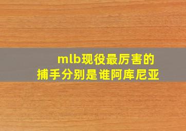 mlb现役最厉害的捕手分别是谁阿库尼亚