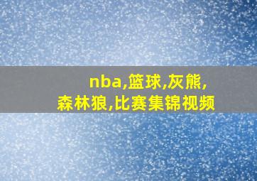 nba,篮球,灰熊,森林狼,比赛集锦视频