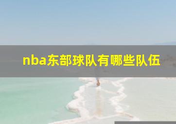 nba东部球队有哪些队伍