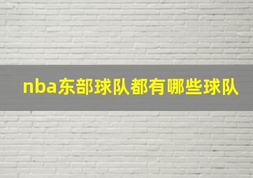 nba东部球队都有哪些球队