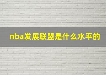 nba发展联盟是什么水平的