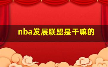 nba发展联盟是干嘛的