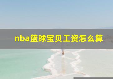 nba篮球宝贝工资怎么算