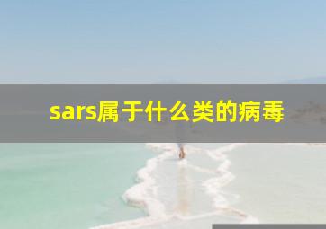 sars属于什么类的病毒