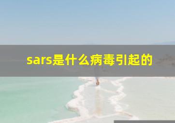 sars是什么病毒引起的