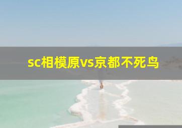 sc相模原vs京都不死鸟