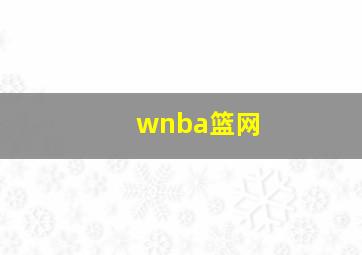 wnba篮网