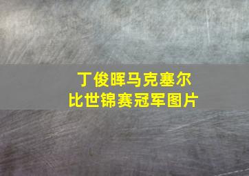 丁俊晖马克塞尔比世锦赛冠军图片