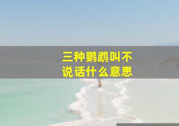 三种鹦鹉叫不说话什么意思