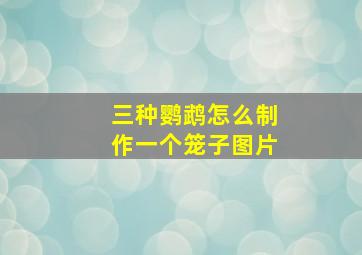 三种鹦鹉怎么制作一个笼子图片