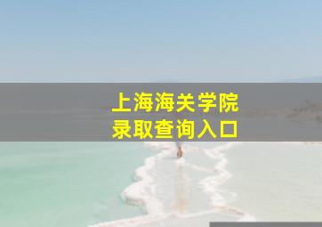 上海海关学院录取查询入口