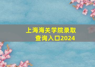 上海海关学院录取查询入口2024