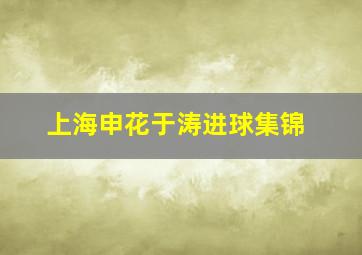 上海申花于涛进球集锦