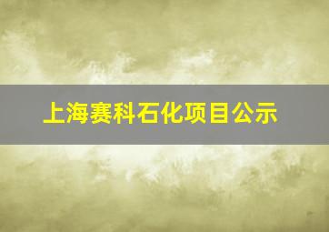 上海赛科石化项目公示