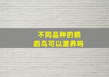 不同品种的鹦鹉鸟可以混养吗