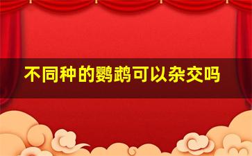 不同种的鹦鹉可以杂交吗