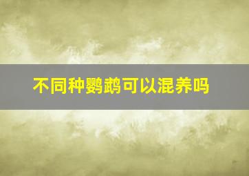 不同种鹦鹉可以混养吗