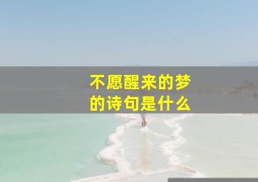 不愿醒来的梦的诗句是什么