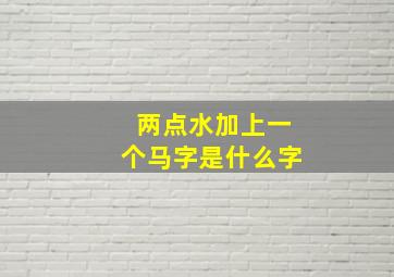 两点水加上一个马字是什么字