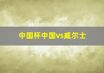 中国杯中国vs威尔士