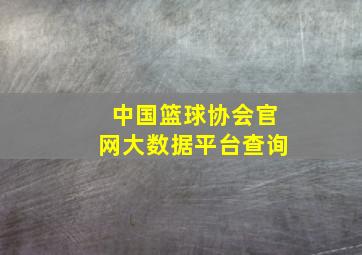 中国篮球协会官网大数据平台查询