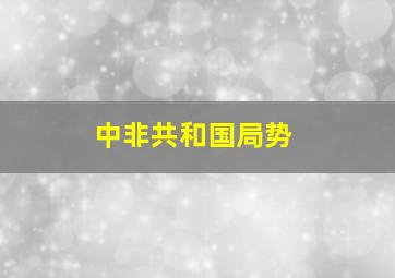 中非共和国局势