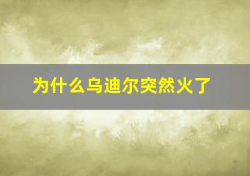 为什么乌迪尔突然火了