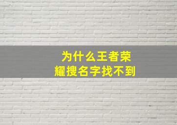 为什么王者荣耀搜名字找不到