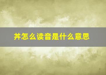 丼怎么读音是什么意思